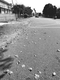 Surface level of empty road along trees