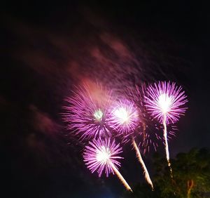 Fireworks exploding in night sky