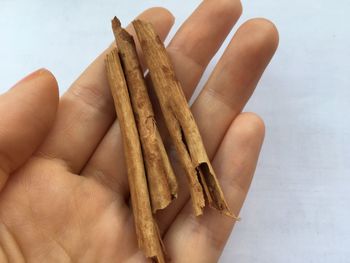 Close-up of hand holding food over white background