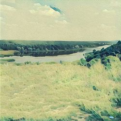 Scenic view of field against sky