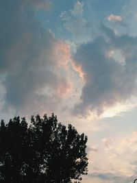 Low angle view of tree against cloudy sky