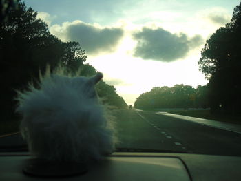 Road passing through landscape