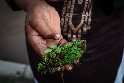 Midsection of man holding plant