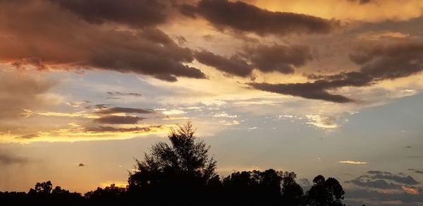 Low angle view of silhouette trees against sky during sunset