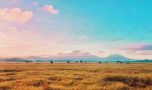 Scenic view of field against sky during sunset