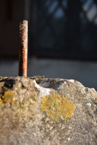 Close-up of rusty metal
