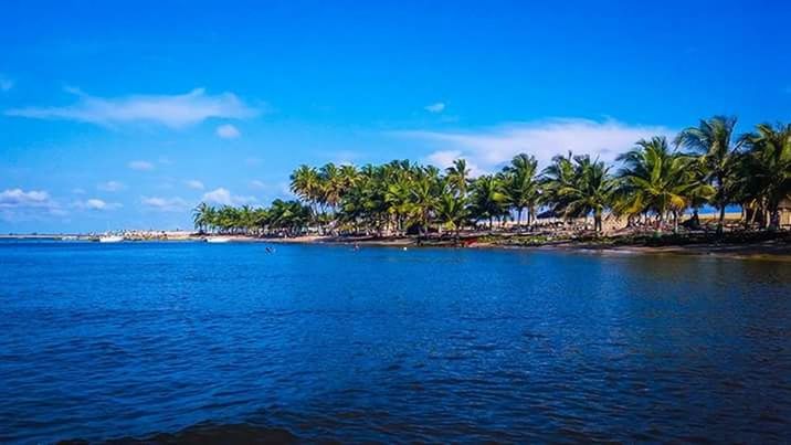 palm tree, tree, sea, blue, beach, sky, water, cloud - sky, landscape, nature, outdoors, tropical climate, tranquility, tranquil scene, day, no people, travel destinations, beauty in nature, growth, scenics, sand