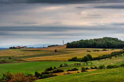 Scenic view of agricultural field against sky