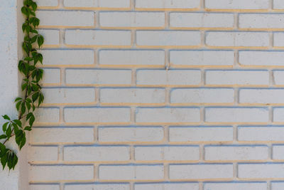 Close-up of brick wall