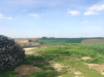 Scenic view of vineyard against sky