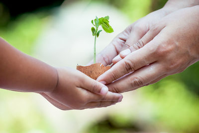 Cropped image of woman giving sapling in egg shell to girl