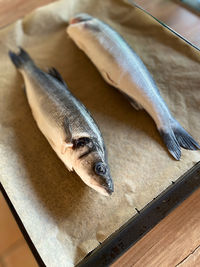 High angle view of fish on cutting board