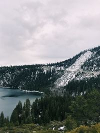 Scenic view of lake by trees against sky