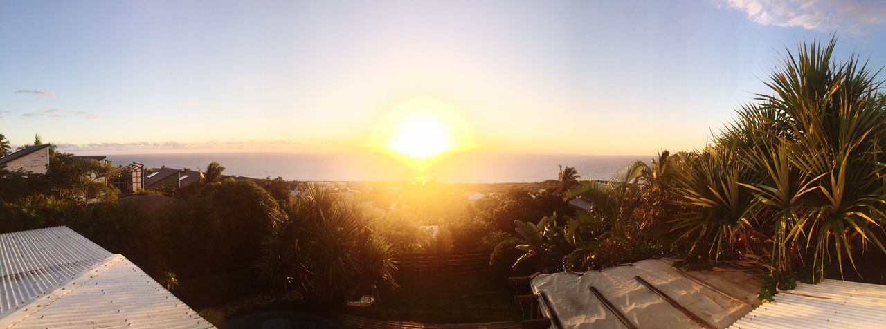 sun, sea, sunlight, water, horizon over water, sunbeam, sunset, tranquil scene, sky, scenics, tranquility, beauty in nature, lens flare, nature, beach, tree, idyllic, sunny, railing, outdoors