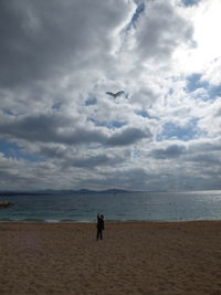 Bird flying over beach