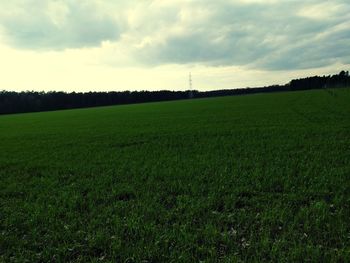 Scenic view of agricultural field against sky