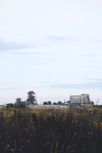 Plants growing on field by buildings against sky