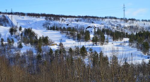 Scenic view of trees against sky during winter