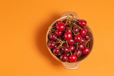 Directly above shot of cherries in bowl