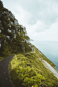 Rugged cornish coast