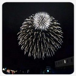 Low angle view of firework display