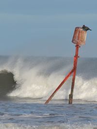 Lifeguard hut in sea against sky