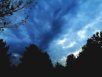 Low angle view of silhouette trees against blue sky