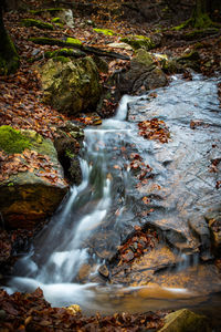 Stream flowing through rocks in forest