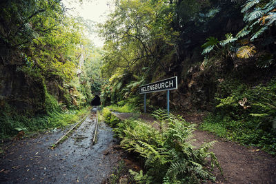 Helensburgh metropolitan tunnel. 