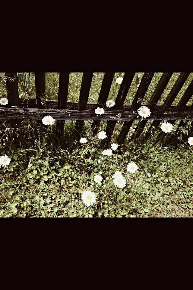 high angle view, night, no people, nature, outdoors, sunlight, dark, field, abandoned, close-up, shadow, growth, plant, leaf, auto post production filter, falling, ground, surface level, pattern