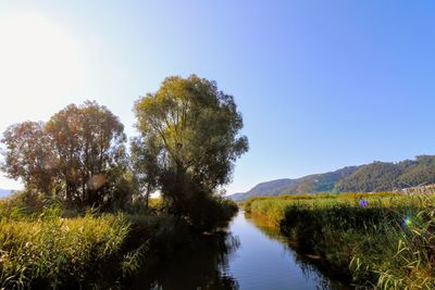 Scenic view of lake against clear sky