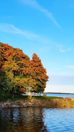 Trees by lake against sky during autumn