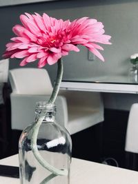 Close-up of pink flower in vase on table at home