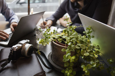 Close-up of potted plants and camera with businessmen working in creative office