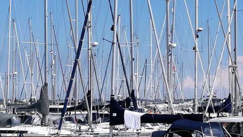 Sailboats moored in harbor