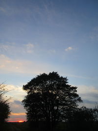 Low angle view of silhouette trees against sky during sunset