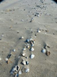 Surface level of pebbles