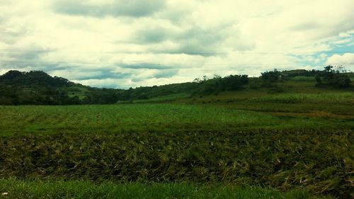 Scenic view of grassy field against cloudy sky