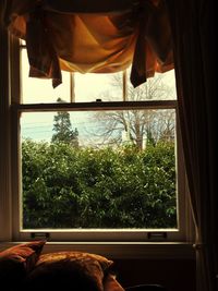 Clothes hanging on window at home