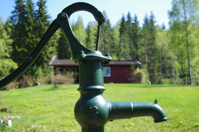 Close-up of faucet against trees in forest