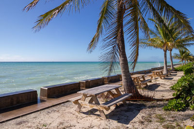 Palm tree on beach against sky
