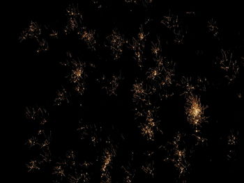 Close-up of firework display over black background