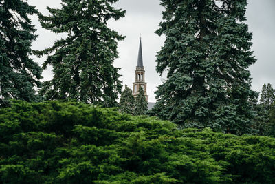 Low angle view of trees and building against sky