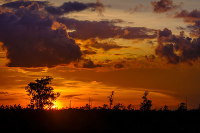 Silhouette trees on field against sky during sunset