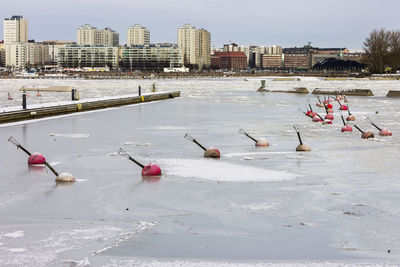 Birds perching on a lake