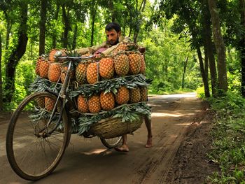 Transporting pineapple by bicycle to the local market through the road in the middle of the forest