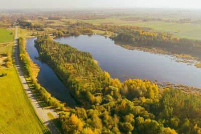 High angle view of river amidst trees