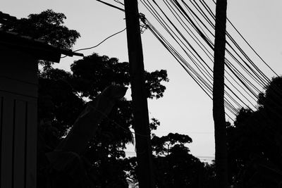 Low angle view of trees against sky