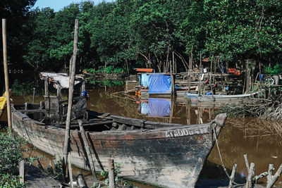 Boats moored on river amidst trees in forest