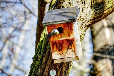 Close-up of birdhouse on tree trunk